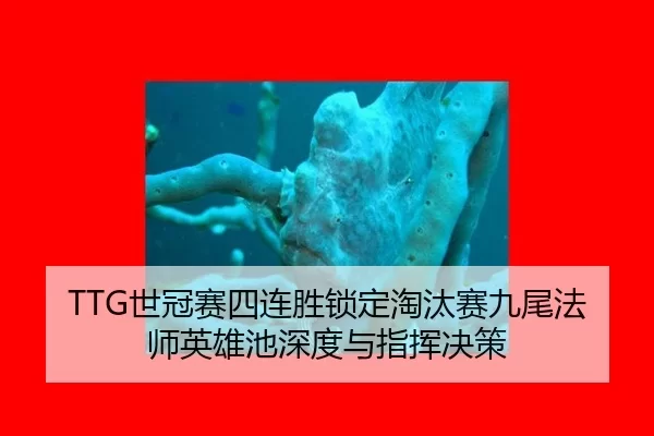 shi-guan-sai-si-lian-sheng-suo-ding-tao-tai-sai-jiu-wei-fa-shi-ying-xiong-chi-shen-du-yu-zhi-hui-jue-ce-3-853.jpg