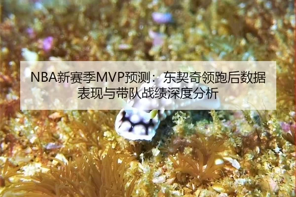 NBA新赛季MVP预测：东契奇领跑后数据表现与带队战绩深度分析